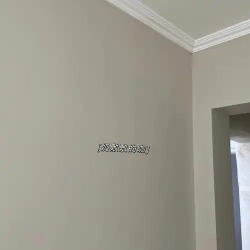 立邦的太空漫步和奶咖也太了