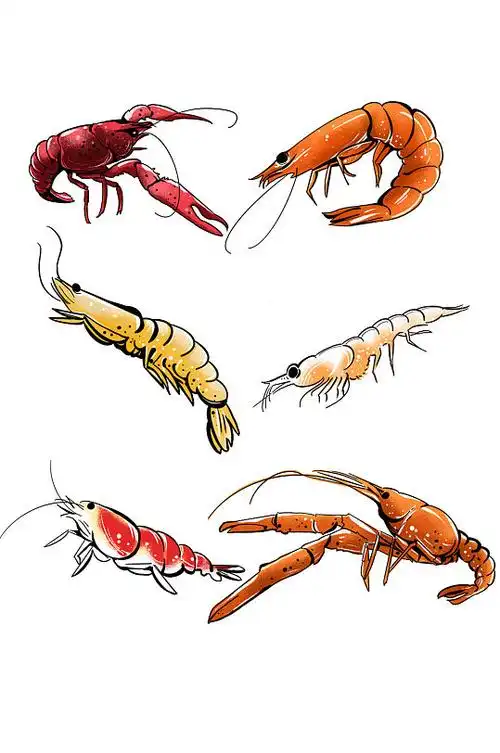 卡通虾手绘图片-卡通虾手绘素材下载-众图网