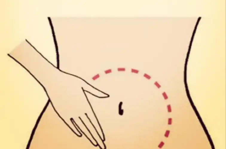 排空小便,洗净双手,取仰卧位,双膝屈曲,全身放松左手按在腹部