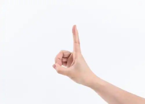 一只手的各种手势 白背景