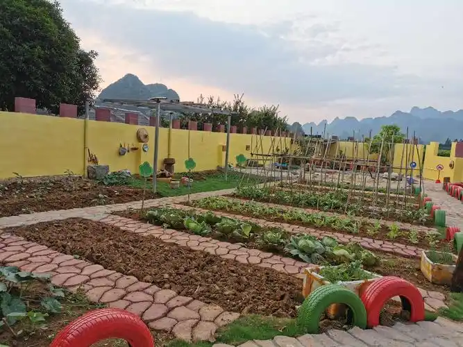 种植区,通过孩子们亲手种菜,浇菜,观察,记录,让孩子们体验劳动成果的