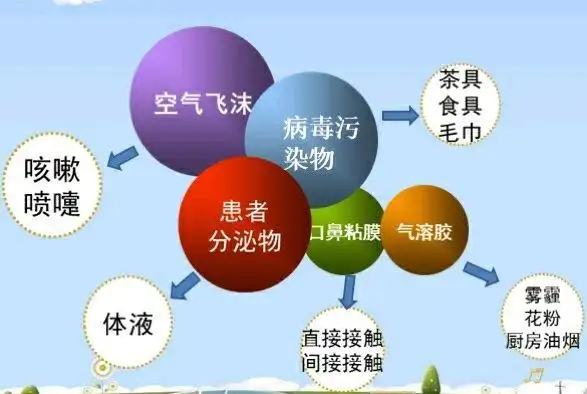 我们再来看看流感病毒的传播途径