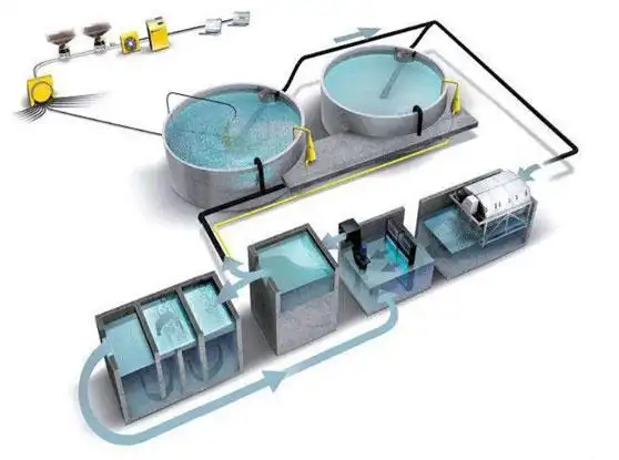 工厂化循环水养鱼