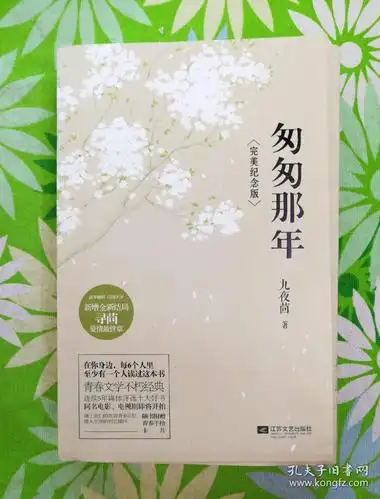 匆匆那年:完美纪念版