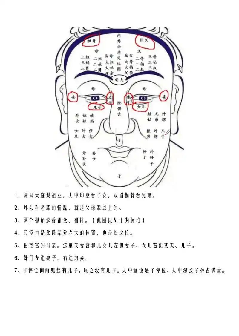 国学文化 #干货分享 #面相 #识人术 #倪海厦 - 抖音