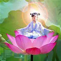 会动的连花微信头像