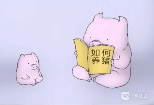 不想养狗,也不想养猫,只想养你,毕竟养猪致富.