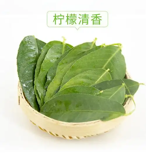 乐活司新鲜产地直销香水柠檬叶1000g纯叶净叶冬阴功调料香料叶子