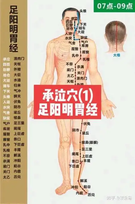 承泣穴(足阳明胃经1)