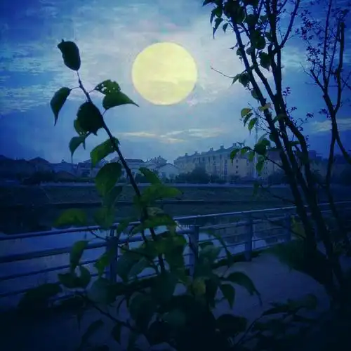 月亮风景图