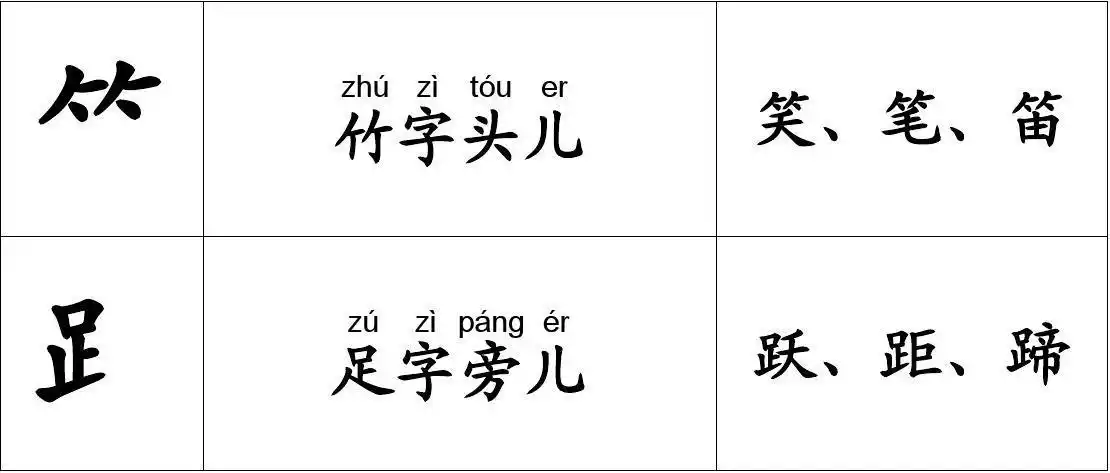 ⺮ ⻊ zhú zì tóu er 竹字头儿 zú zì p&