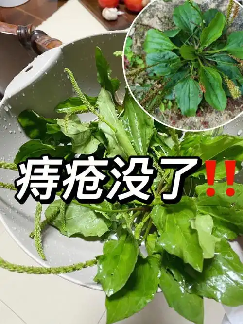 我得痔疮后没走弯路这个方法真的太靠谱了