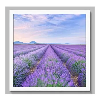薰衣草装饰画客厅现代简约沙发背景墙挂画卧室餐厅床头壁画 i 50*50