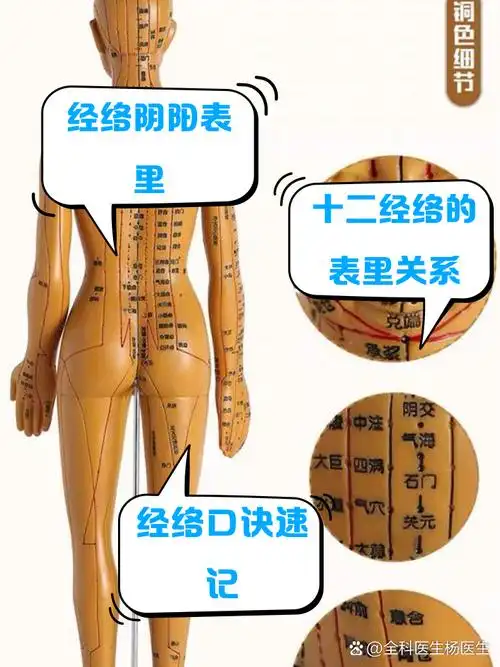 十二经络口诀之