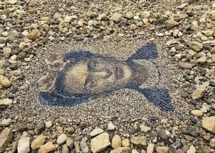 鹅卵石画家又火了用石子拼凑的肖像堪比绘画写生