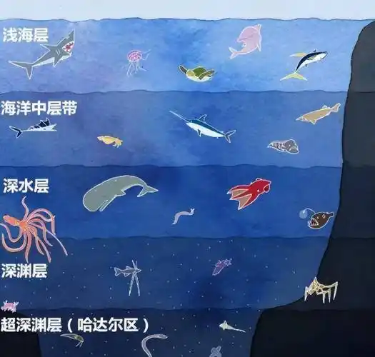 深海8000米有什么动物?触手超过10米的巨型动物,模样有多可怕?