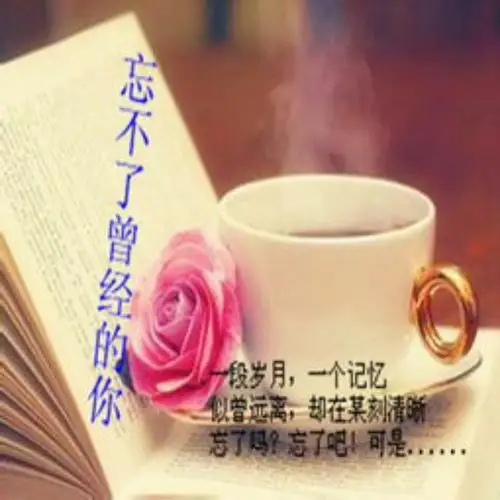 忘不了曾经的你