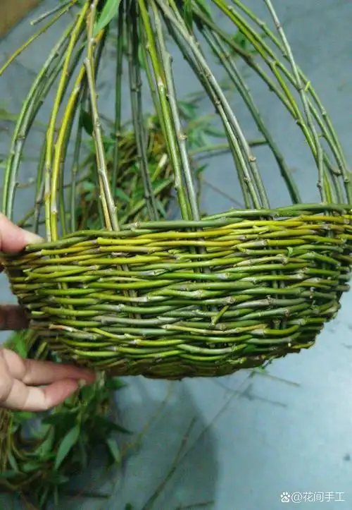 柳条编织篮子  瞧!这个圆形物体,仿佛是大自然的魔法.