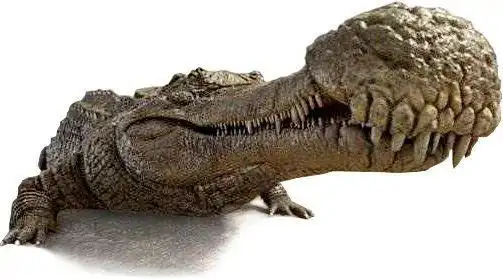 怎么画鳄鱼简笔画教你画鳄鱼简笔画怎么画帝王鳄简