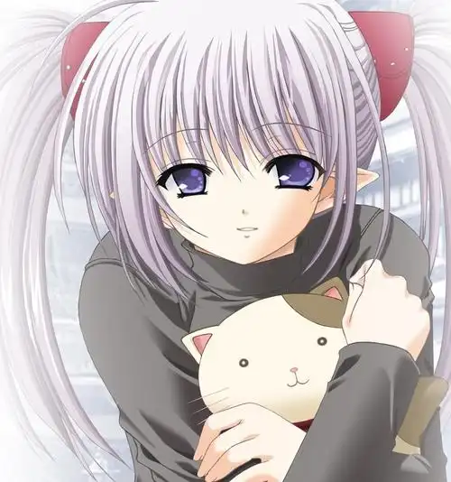 动漫银色长直发图片