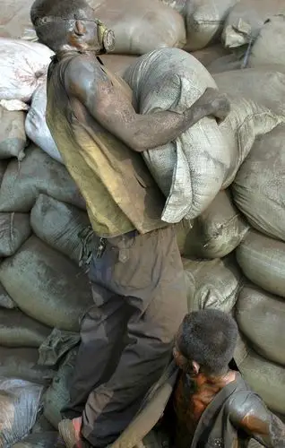 秀苦力的网红们装什么卖苦力的装卸工用生命装点劳动者本色