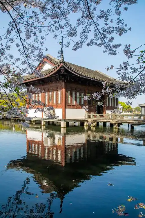 风光 建筑 风光 古建筑 风景 传统 春天 复古 西湖 樱花 杭州 景观