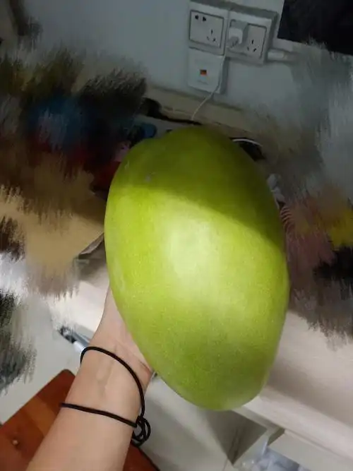 携我室友的巨大芒果前来参赛