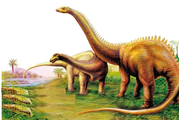 虽然是世界上最长的恐龙,但是梁龙的体重不是最大的,因为它的骨骼非常