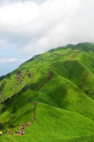 高山草甸武功山