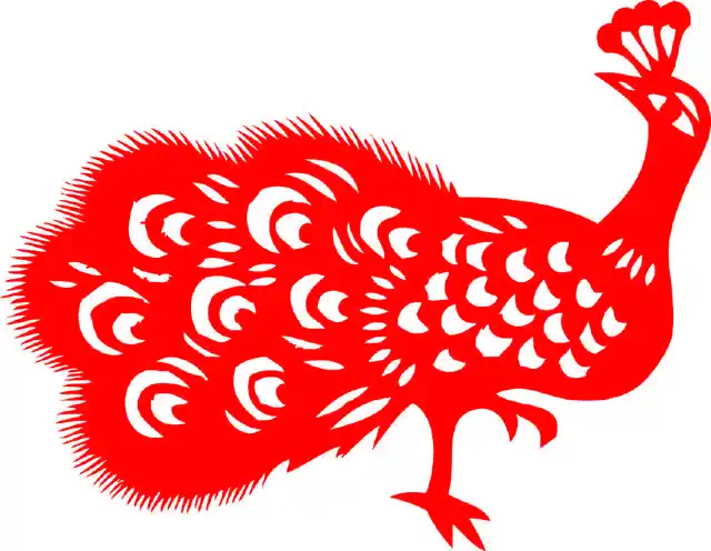 传统艺术(剪纸)之整理学习