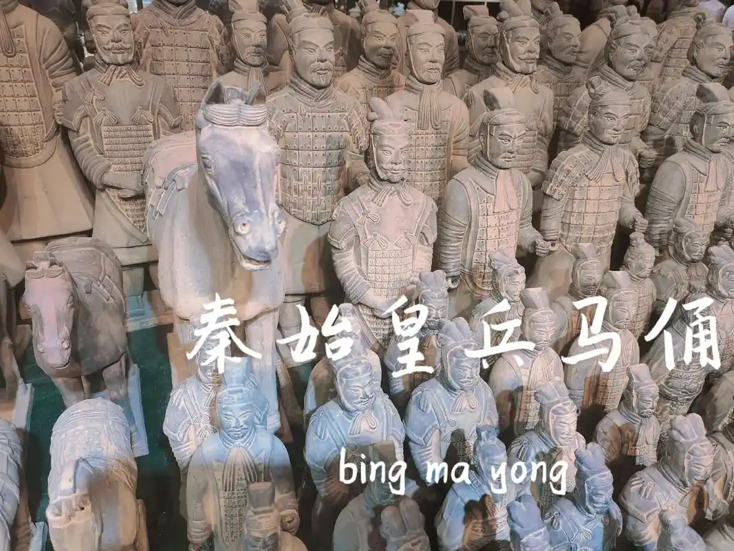 总要来趟西安吧,去秦始皇帝陵博物院看一看兵马俑!秦俑虽无名 - 抖音
