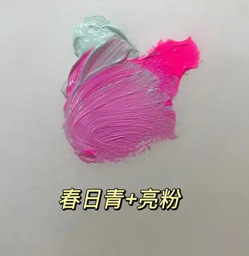 大家有建议吗11566春日青77亮粉9221566图一77马尔代夫