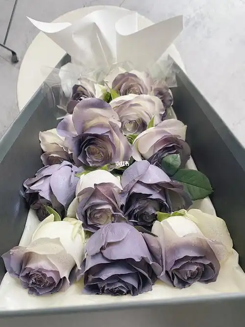 卡普里灰紫渐变玫瑰_卡普里_花店_鲜花分享_家居家装_家居装饰