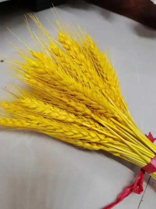 麦穗干花x品质保证量大优惠
