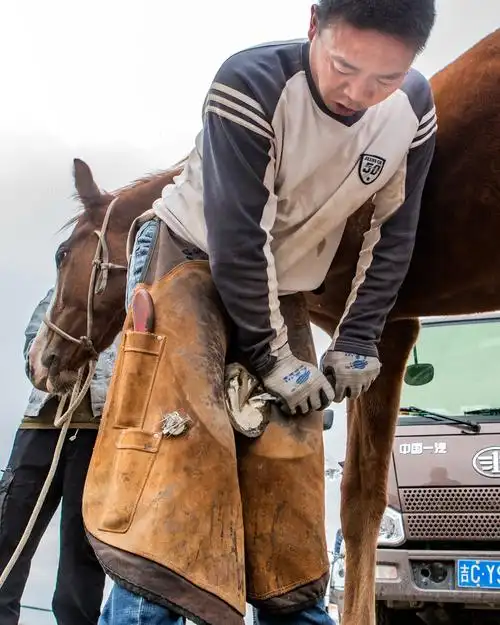 《修马掌》         王存艳   摄