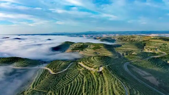 人民网银川7月3日电 (梁宏鑫)3日清晨,宁夏回族自治区固原市彭阳县数