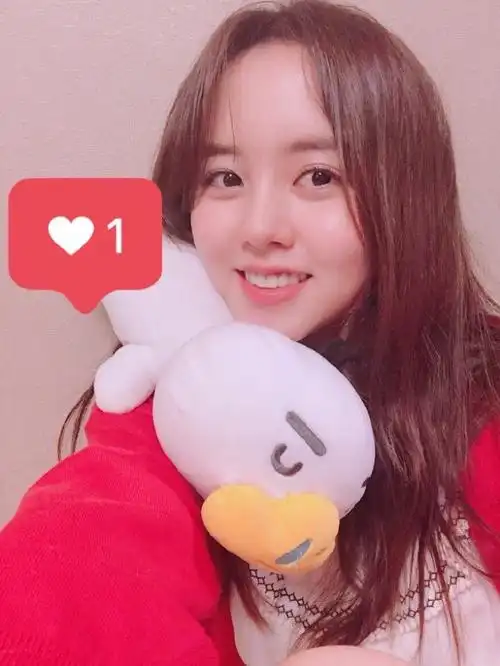 21071531 49333395 – 81216135 3709