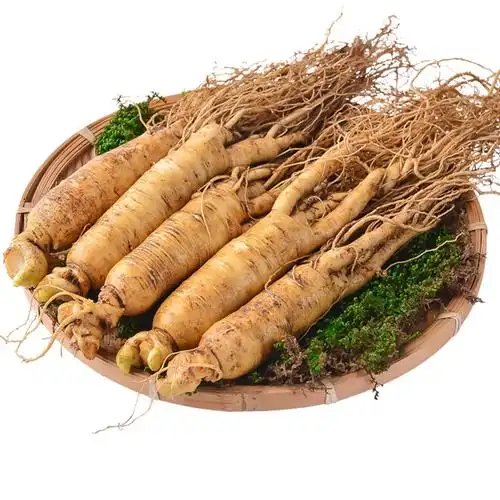 人参的功效与作用_价格_图片_食用方法-洽康中药材商城