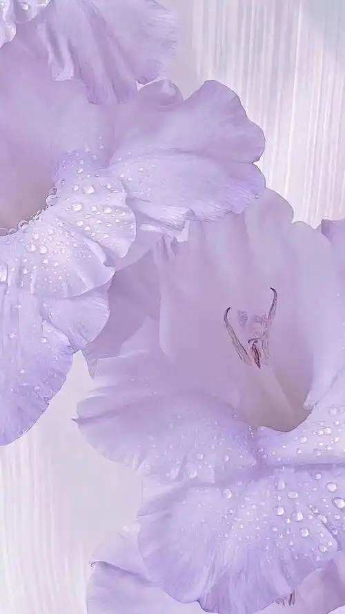 紫色系手机锁屏壁纸