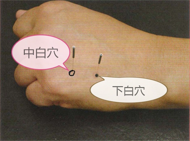 中医健康养生之人体手部穴位下白穴