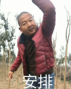 微信qq搞笑表情包_斗图表情包-九蛙工具箱