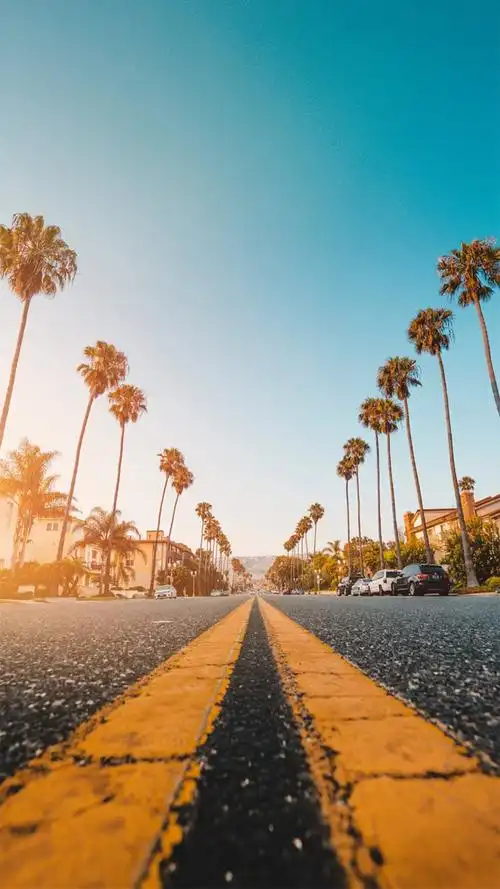 柏油马路,风景-手机壁纸