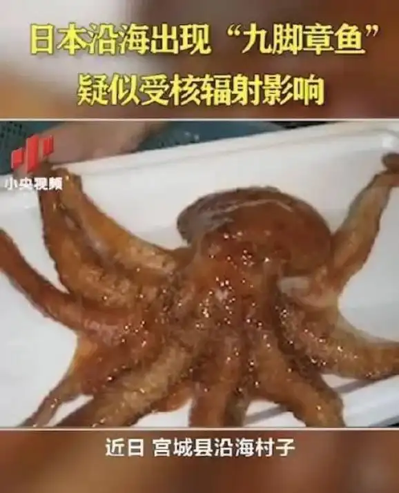 日本百万吨核废水将入海全球网友怒了一场波及75亿人的灾难正在降临