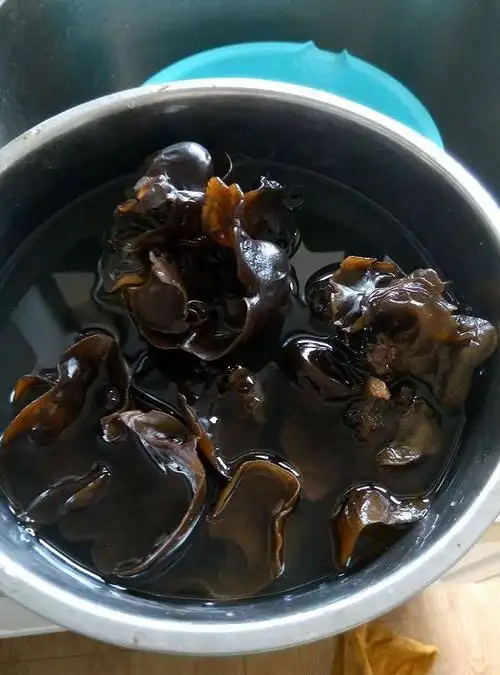 胡萝卜黑木耳肉包子的做法_菜谱_豆果美食