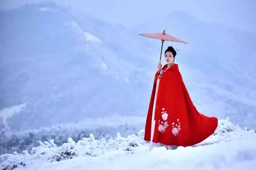 红衣女子雪中飘