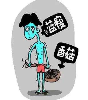 瘦人怎么调理脾胃