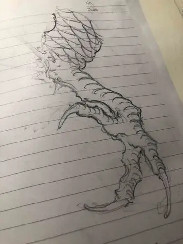 《画龙笔记》龙爪研究记——由龙作品_上海由龙工作室-站酷zcool