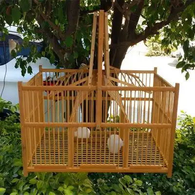 共386 件拍笼踏笼相关商品