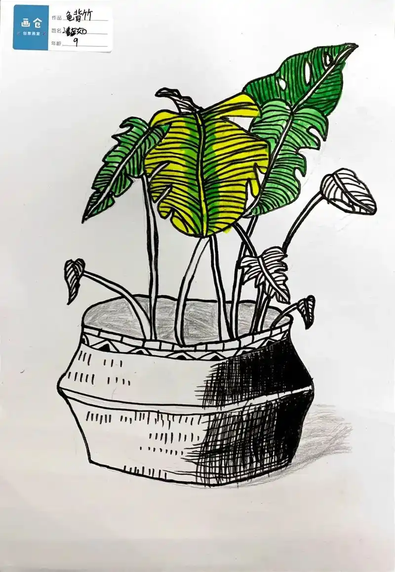 龟背竹#线描 #线描画 #跟我一起学画画 #儿童绘画作品 - 抖音