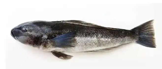 2,部分与鳕鱼不搭边的品种也被称为鳕鱼,如银鳕鱼.